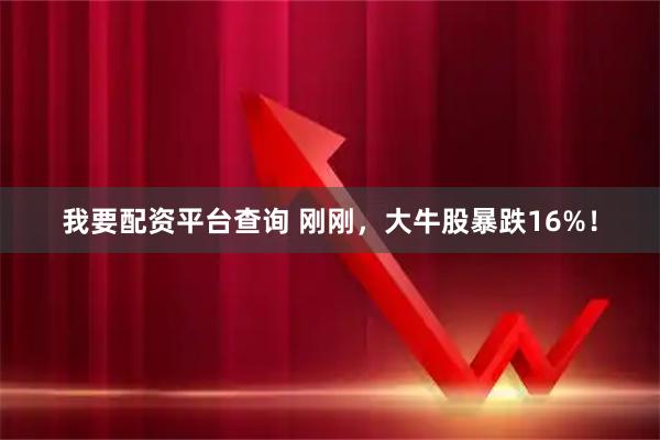 我要配资平台查询 刚刚，大牛股暴跌16%！